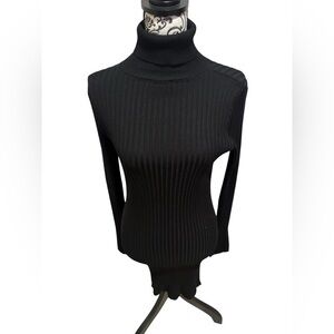 Express Black Ribbed Turtleneck Sweater